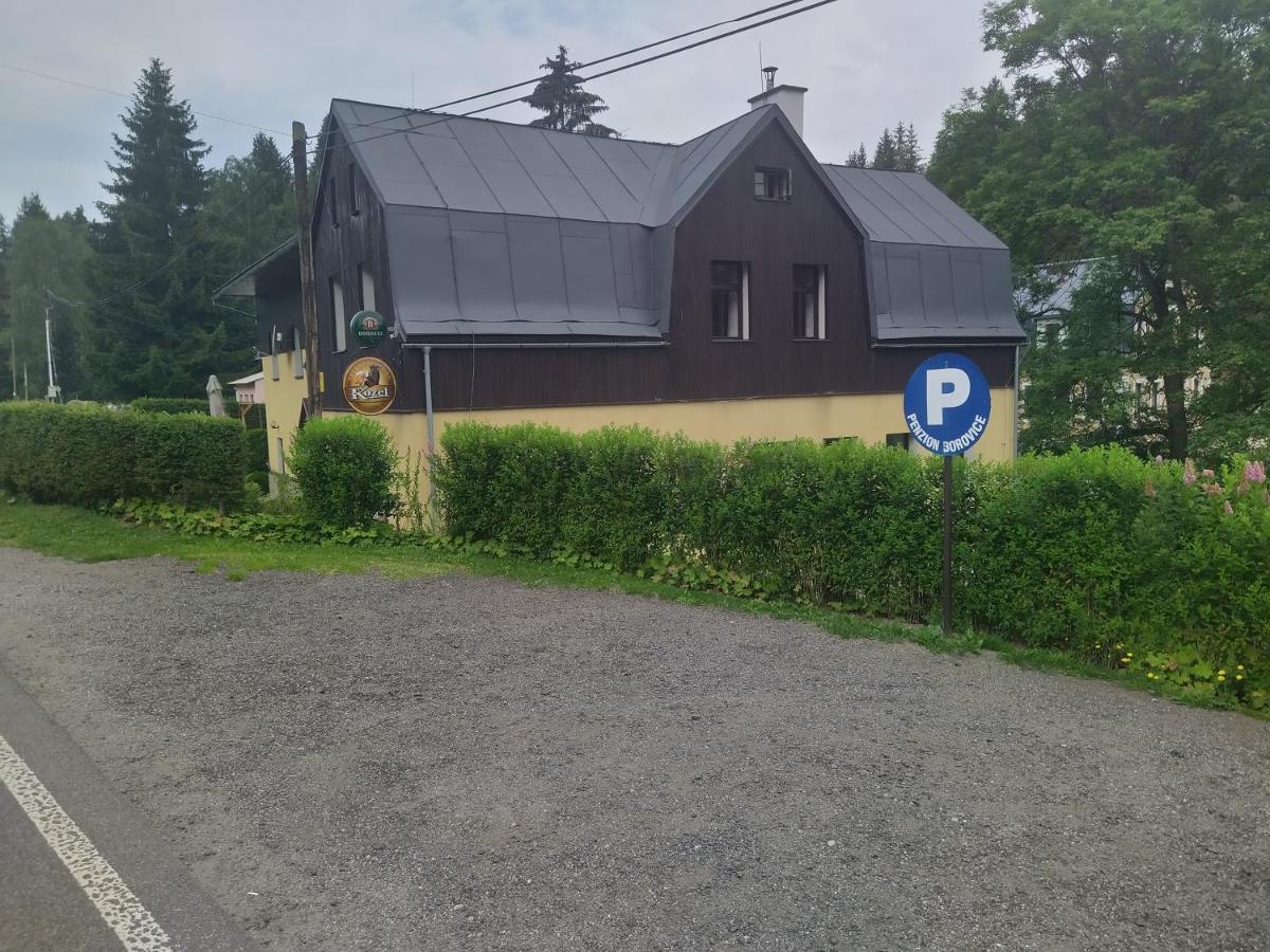 Penzion Borovice Josefuv Dul Exterior photo